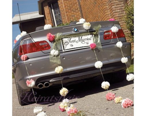 Nummernschild "Just Married"